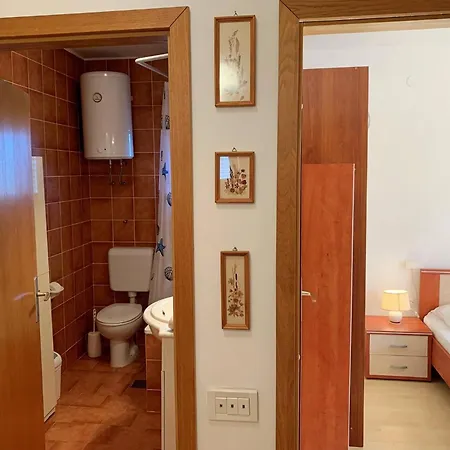 Viola Casa de hóspedes